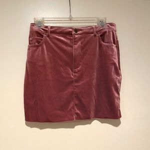 Pink Velvet Skirt